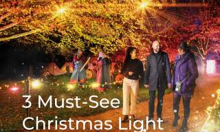 3 Sussex Christmas light trails you must see