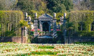 Arundel Castle’s Tulip Festival returns in 2025 with a stunning display of 110,000+ bulbs