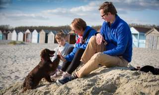 The dog-friendly beaches of Sussex