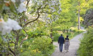 Record displays and landmark events make 2026 a standout year for Sussex gardens