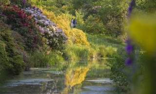 A lake surrounded by colourful spring shrubs, with a couple walking along the bank at Leonardslee Gardens, Sussex