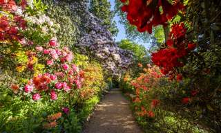 Discover the secret gardens of Sussex