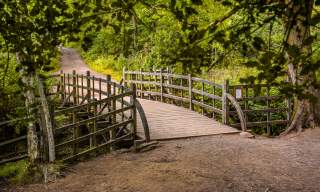 Winnie-the-Pooh at 100: visit the Sussex locations of the beloved books