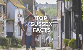 Discover Sussex: Top Intriguing Facts About Our Charming Region