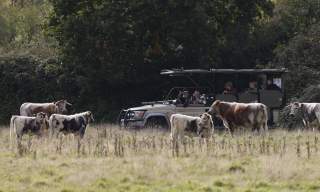 Top 10 travel trends for 2026