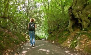 Unmissable walks across Sussex
