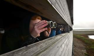 Top Wildlife Trust Nature Reserves in East and West Sussex