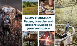 Slow Horsham: Pause, breathe and explore Sussex at your own pace