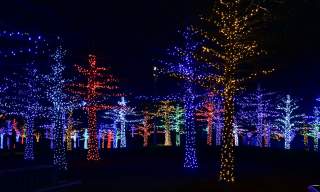 Festive Light Trails in Sussex 2025