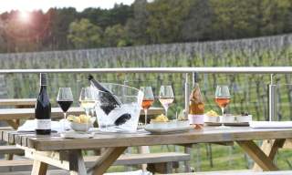 Sparkling and Spas: Three days of Sussex wine and wellness