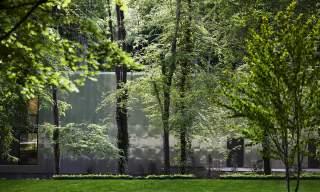 Goodwood Art Foundation in woodland