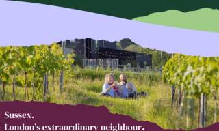 selling sussex toolkit image with a couple sat in a vineyard