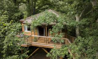 9 Top Glamping Spots in Sussex for Peaceful Getaways