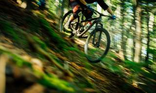 Cycling routes in Sussex
