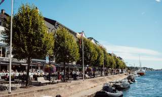 Arendal vårbilde Pollen