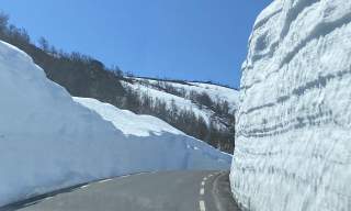 snø langs veien
