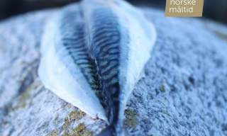 Makrellfilet Det Norske Måltid