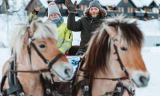 to hester  som drar en slede