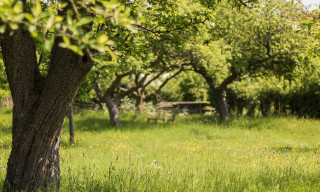 Meet- Anne Hathaway's Cottage