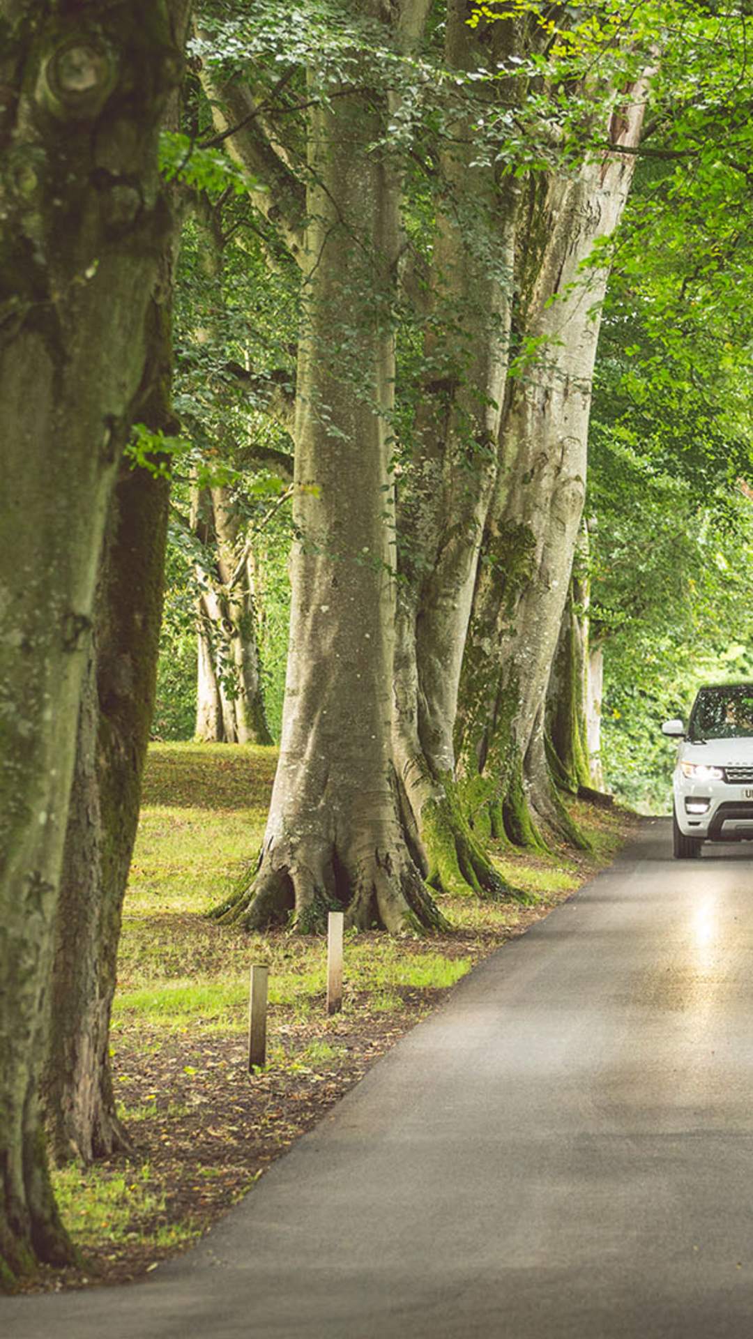A white Range Rover driving along a tree lined driveway towards Corick House Hotel and Spa in Clogher, County Tyrone.