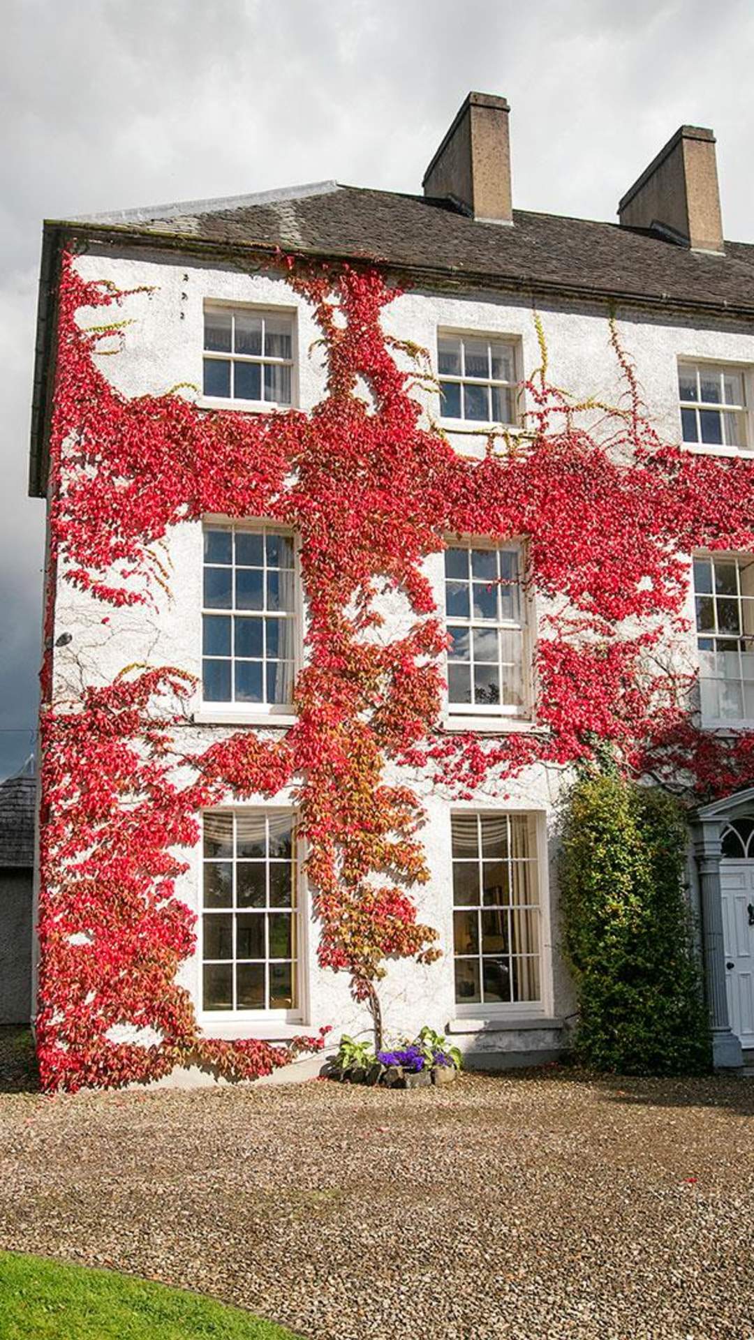 Accommodation Hotel