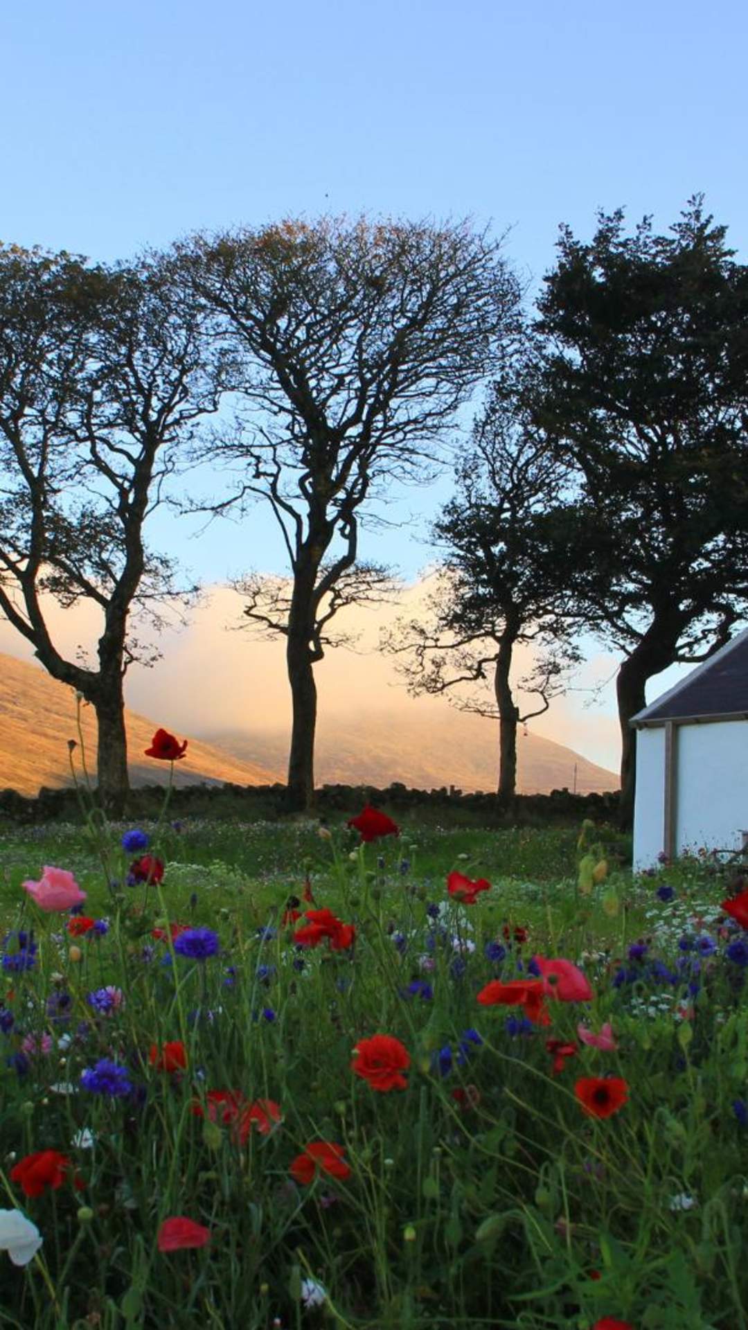 Accommodation in County Down Hotel