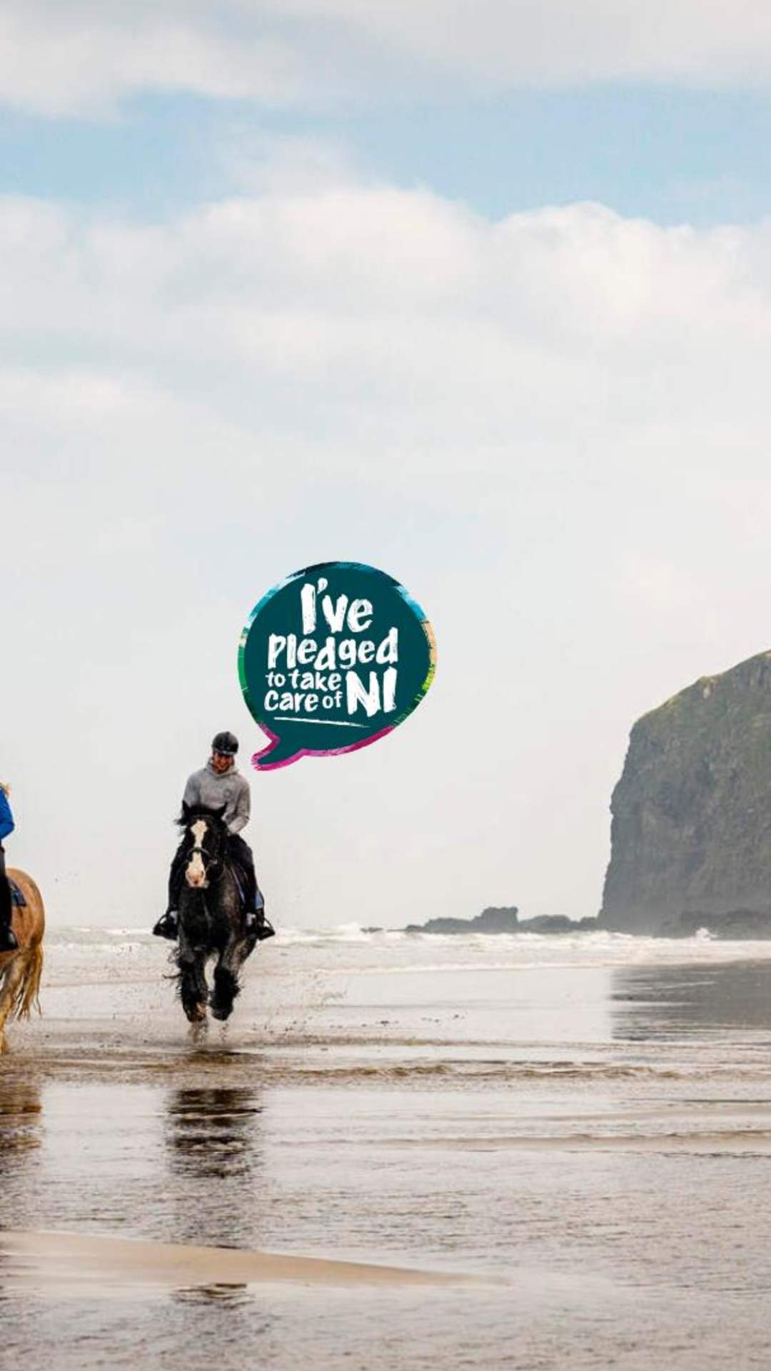 Pledge Friends Beach Horses