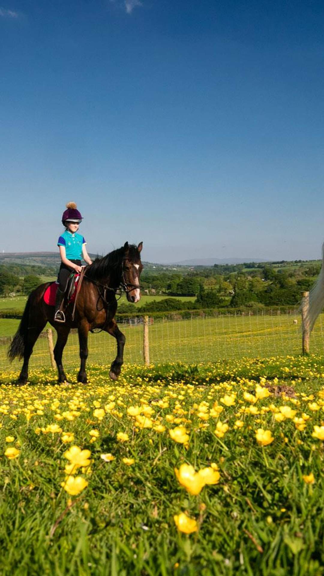 family horse riding with Slow Adventure NI over a field of buttercups