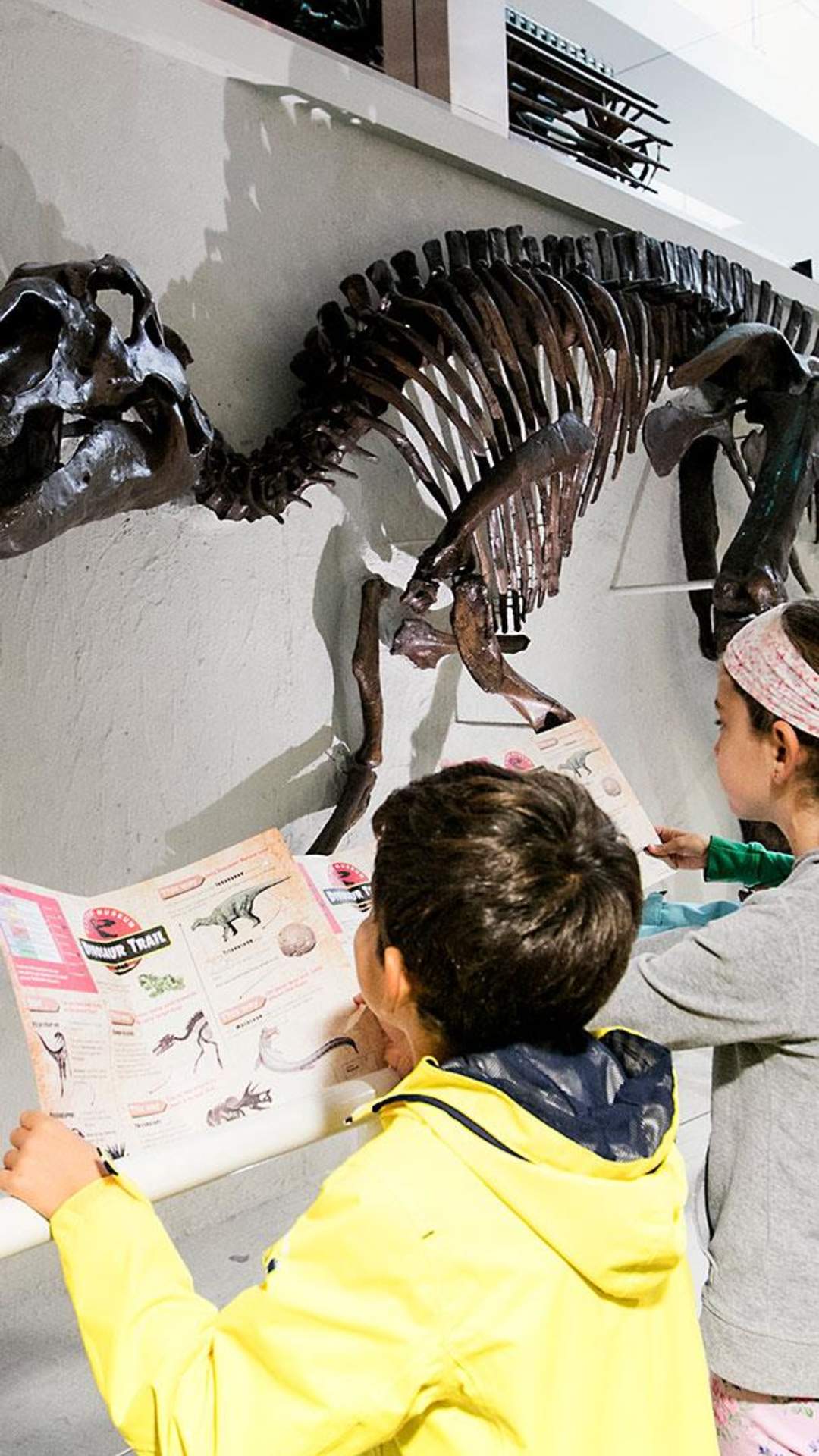 Visitors enjoying the Edmontosaurus dinosaur; the only real near complete dinosaur skeleton display at the Ulster Museum, Belfast.