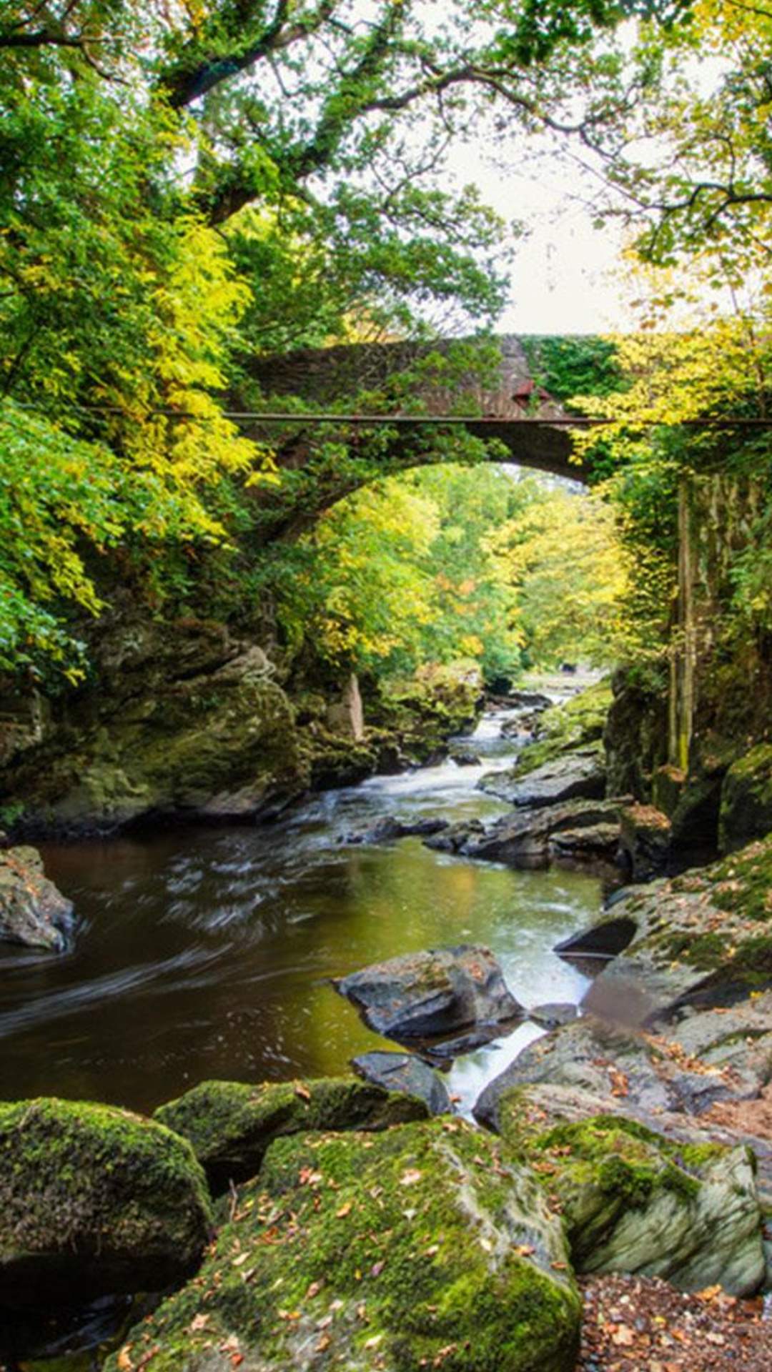 Stream and rugged bridge at Roe Valley Country Park, Limavady