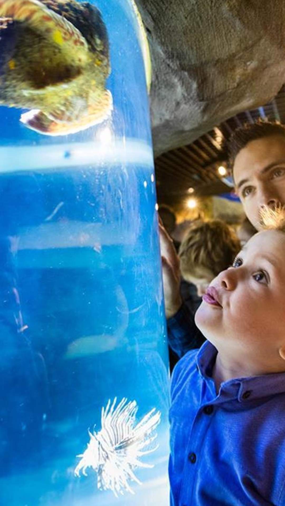 a boy and his dad looking at a sea creature in the tank