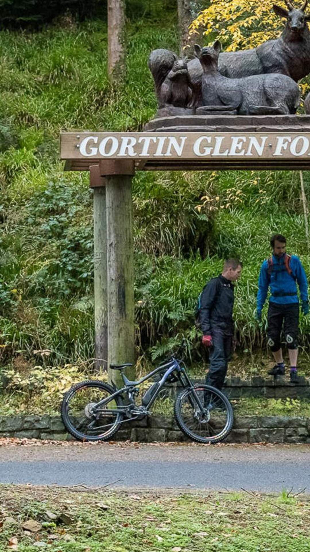 Gortin Glen  Forest Park