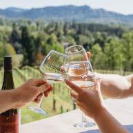 Wine Tasting Around the Umpqua Valley