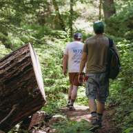 Explore the Best Summer Hikes Near Roseburg