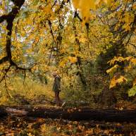 Where to Find Autumn Colors Around Roseburg