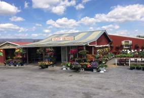 Mowery Orchard
