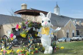 Easter Bunny Experience
