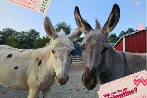 Kiss a Little Ass Valentines/Galentines Day