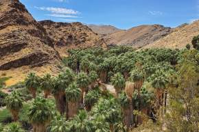 Explore the 150‑year history of the Agua Caliente Band of Cahuilla Indian Reservation
