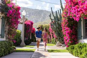 No Car Needed: A Palm Springs Walkable Adventure🚶‍♀️