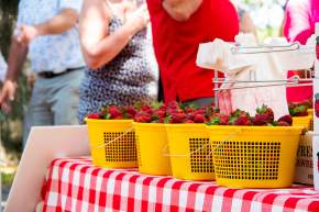 Strawberry & Wine Festival