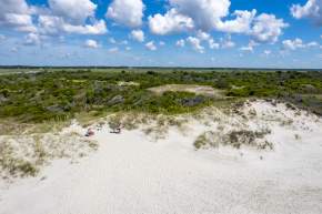 Bird Island Reserve Walk & Talk