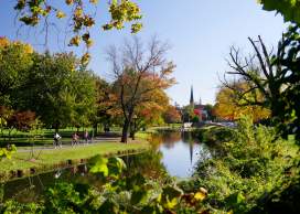 Top Places For Fall Foliage in Frederick County, MD
