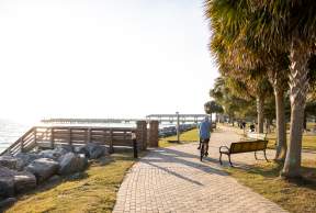 Experience the Golden Isles Like a Local