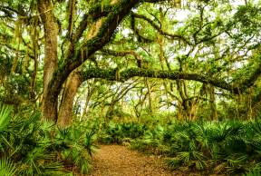 Best Nature Trails to Get Lost