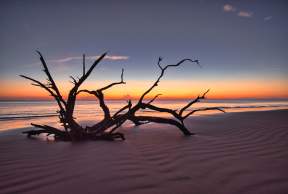 Nature Photography: Best Locations & Tips