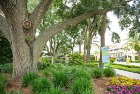 What's New in the Golden Isles this Fall