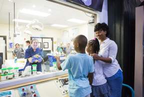 Complete Guide to The Georgia Sea Turtle Center on Jekyll Island