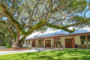 Jekyll Island: Mosaic Museum Guide