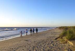 Little St. Simons Island Day Trip Guide